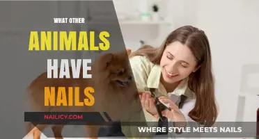 Beyond Humans: Exploring Animals with Nails in the Wild