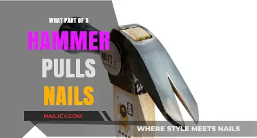 How the Claw of a Hammer Efficiently Pulls Nails Explained