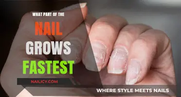 The Fastest-Growing Part of Your Nails