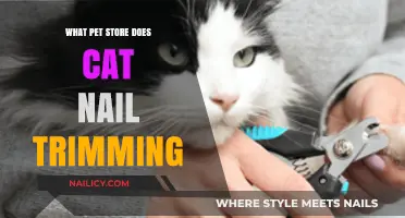 Cat Nail Trimming: Pet Stores Offering This Service
