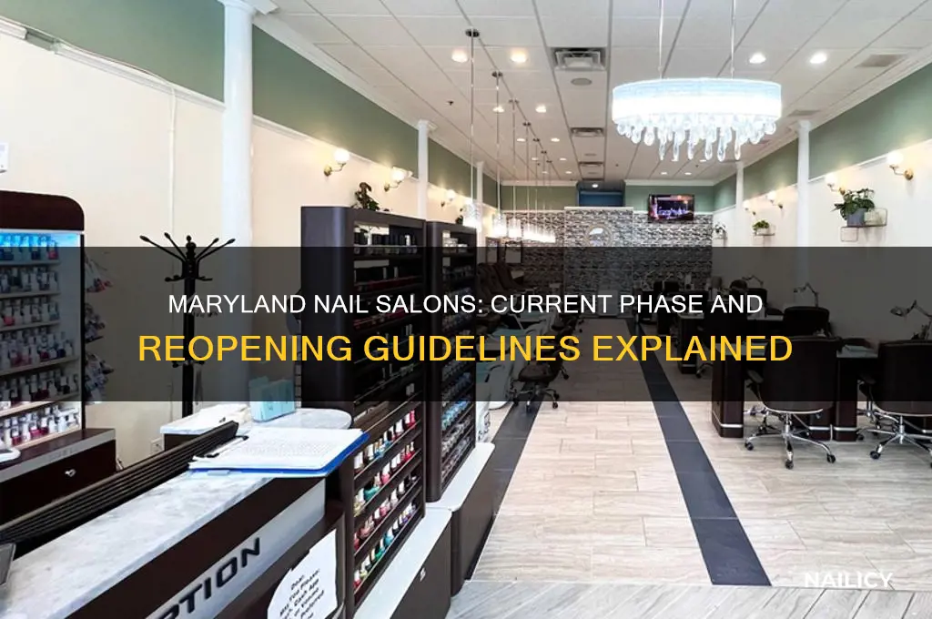 what phase are nail salons in maryland
