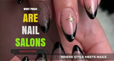 Nail Salons' Evolution: Current Phase, Trends, and Future Outlook
