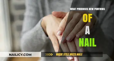 Understanding Nail Growth: The Science Behind New Nail Formation