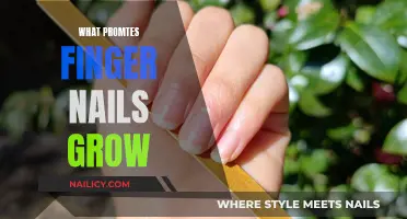 How to Promote Healthy and Fast Nail Growth