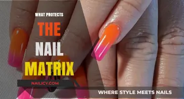 Understanding the Protective Mechanisms of the Nail Matrix: A Comprehensive Guide