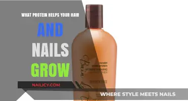 Best Proteins for Hair and Nail Growth