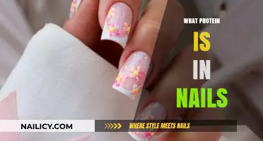 Keratin's Role: Understanding the Protein Structure in Human Nails