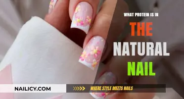 Unveiling the Natural Nail's Protein Composition: Keratin's Role Explained
