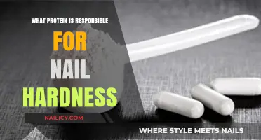 Keratin: The Key Protein Behind Strong and Hard Nails
