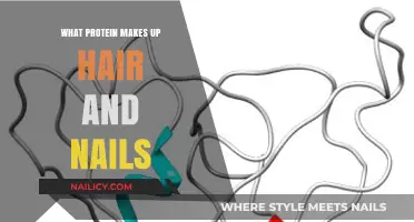 Keratin: The Protein Behind Hair and Nails