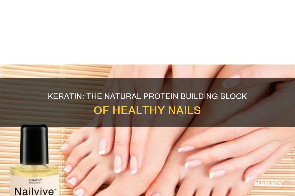what protien is in the natural nail