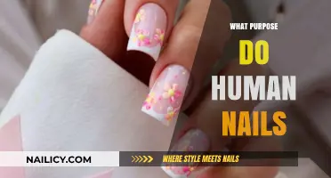 Unveiling the Surprising Functions and Importance of Human Nails