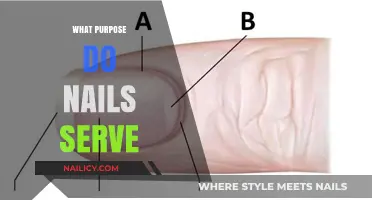 Unveiling the Surprising Functions and Importance of Human Nails