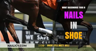 Racehorse's Remarkable Recovery: Surviving Six Nails in a Shoe