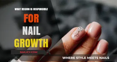 Understanding Nail Growth: The Key Region Behind Healthy Nails