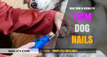Trimming Dog Nails: The Safe RPM Range