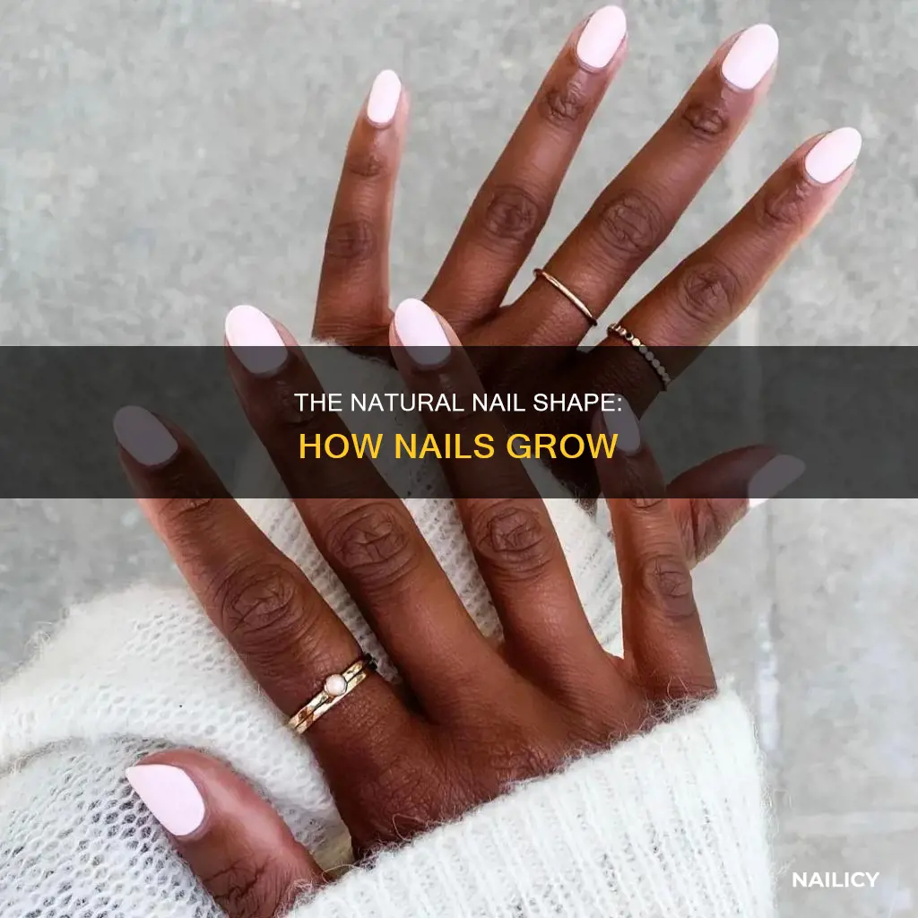 what shape do nails grow naturally