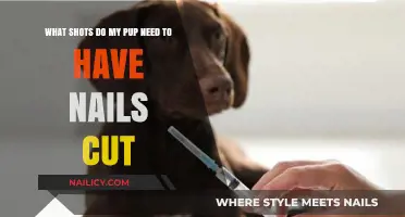 Puppy Nails and Shots: What's the Connection?