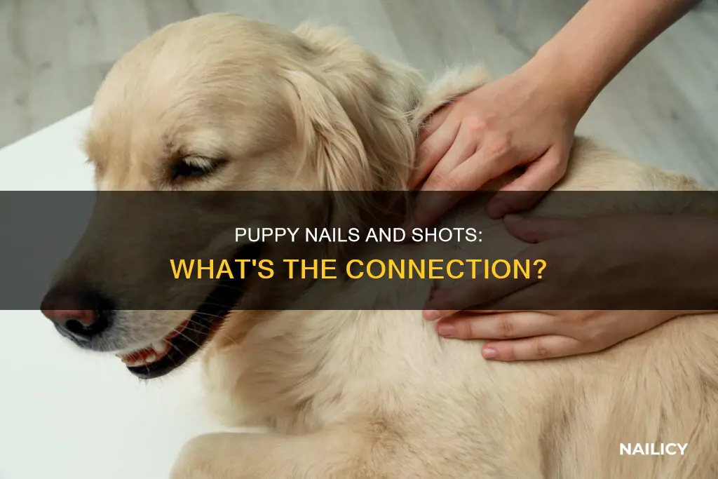 what shots do my pup need to have nails cut