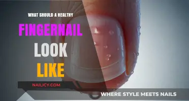 Healthy Fingernails 101: Color, Texture, and Shape Indicators