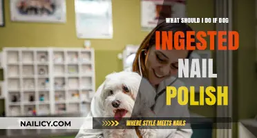 Dog Ingested Nail Polish? Immediate Steps to Ensure Safety and Care