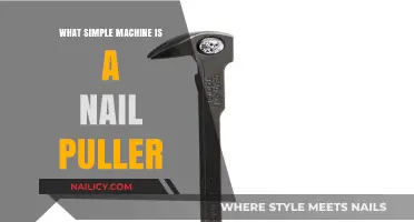 Nail Puller: A Lever's Power in Simple Machine Action