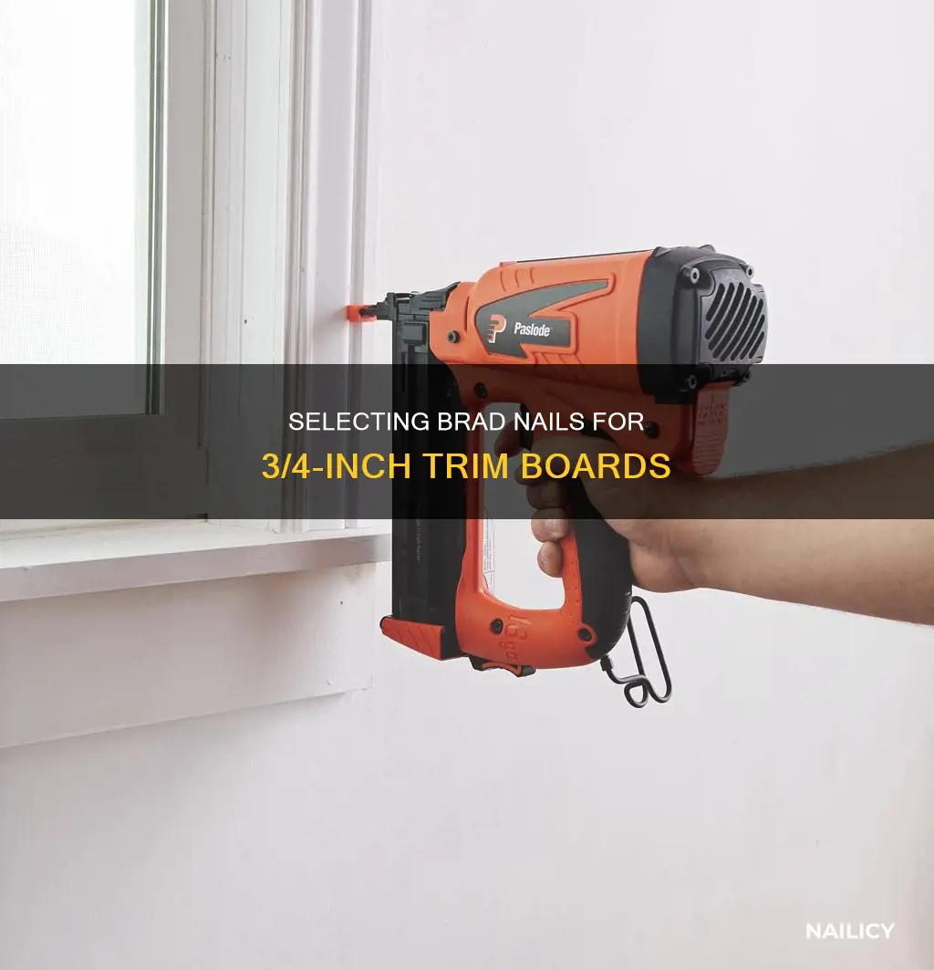 what size brad nails for 3 4 trim boards
