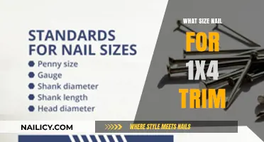 Choosing the Right Nails for Your 1x4 Trim Project