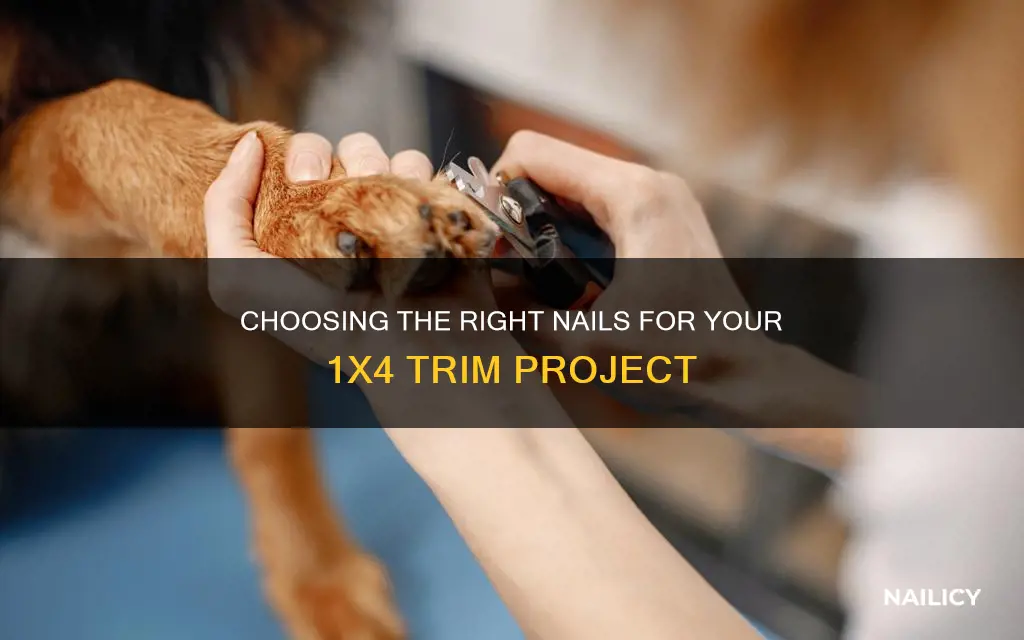 what size nail for 1x4 trim