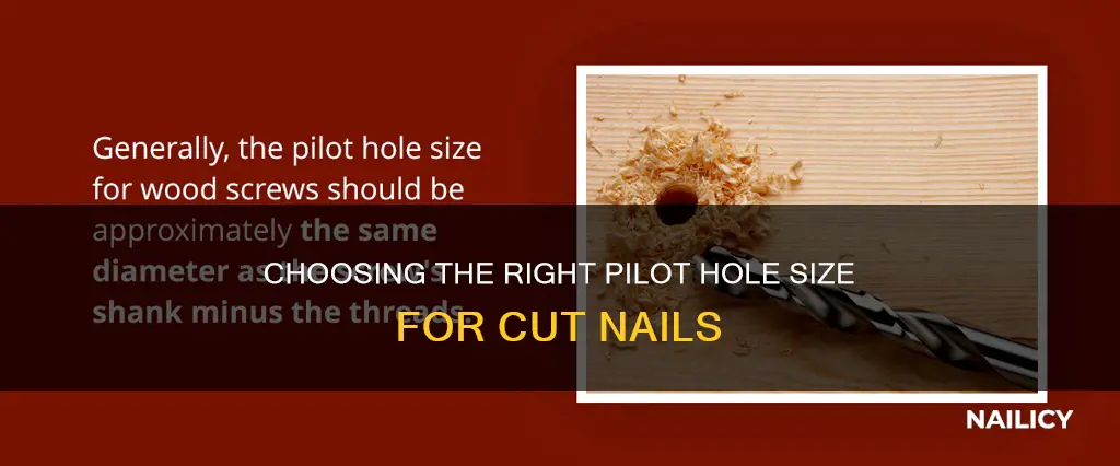 what size pilot hole for cut nails
