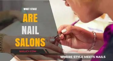 Nail Salons' Evolution: Current Trends and Future Growth Stages