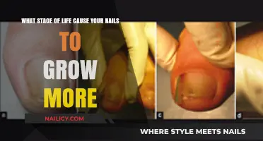 The Aging Body: Nail Growth and You