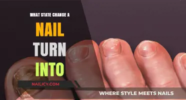How Temperature and Pressure Transform a Nail's Physical State