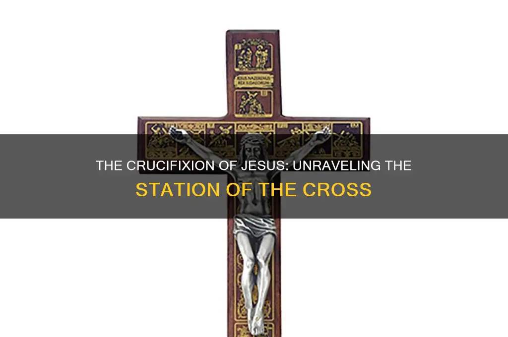 what station is jesus nailed to the cross