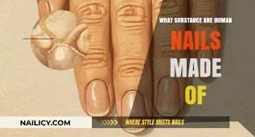 Unveiling the Composition: What Substance Are Human Nails Made Of?