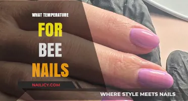 Perfect Bee Nails: Ideal Temperature Tips for Flawless Results
