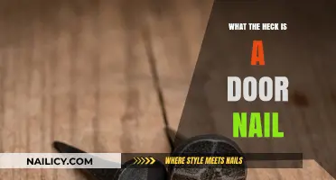 What the Heck is a Door Nail? Unraveling the Mystery