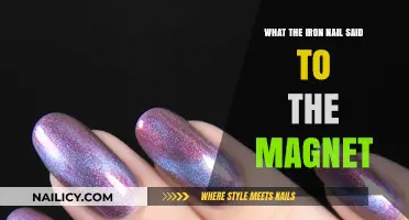 The Iron Nail's Unexpected Conversation with the Magnet: A Tale