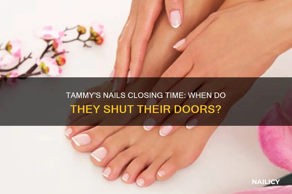 what time does tammy