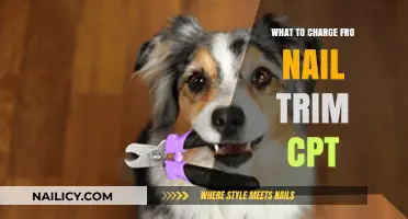 Nail Trimming: Understanding the Cost and CPT Code