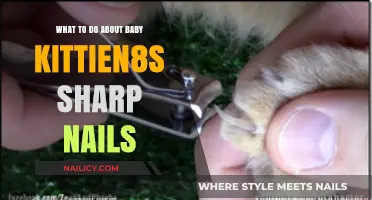 Managing Your Baby Kitten’s Sharp Nails: Gentle Tips and Solutions