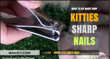 Gentle Paws: Managing Your Baby Kitty’s Sharp Nails Safely