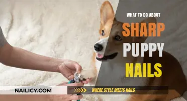 How to Safely Trim and Manage Sharp Puppy Nails at Home