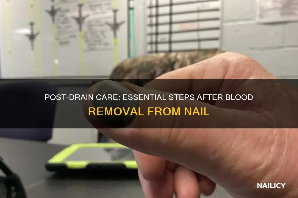 what to do after draining blood from nail