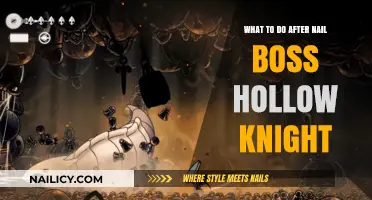 Post-Nail Boss Strategies: Next Steps in Hollow Knight's Adventure