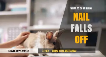 Bunny Nail Falls Off? Calm Steps to Care and Recovery