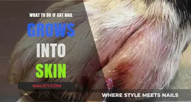 Treating Cat's Ingrown Nails: Quick Tips for Owners