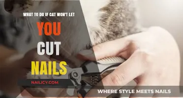 Calmly Trim Your Cat's Nails: Tips and Tricks