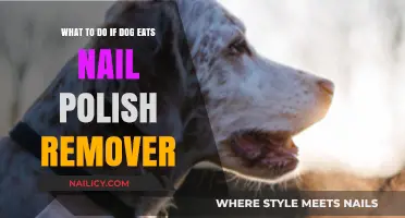 First Aid for Dogs: Nail Polish Remover Ingestion