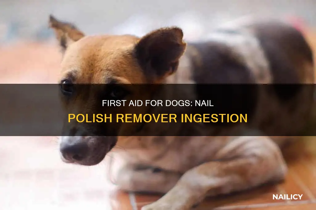 what to do if dog eats nail polish remover
